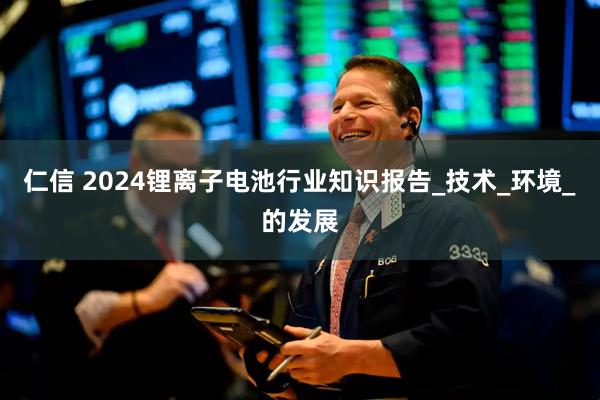 仁信 2024锂离子电池行业知识报告_技术_环境_的发展