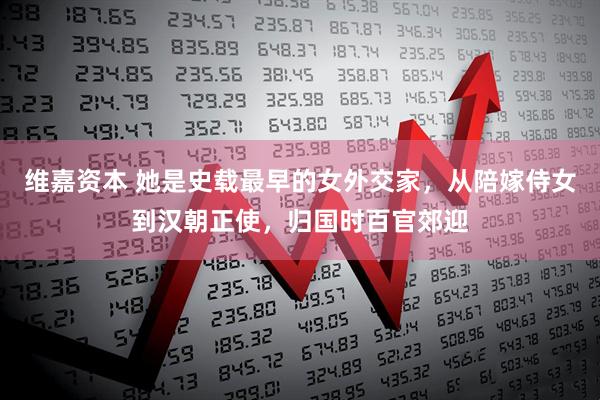 维嘉资本 她是史载最早的女外交家，从陪嫁侍女到汉朝正使，归国时百官郊迎