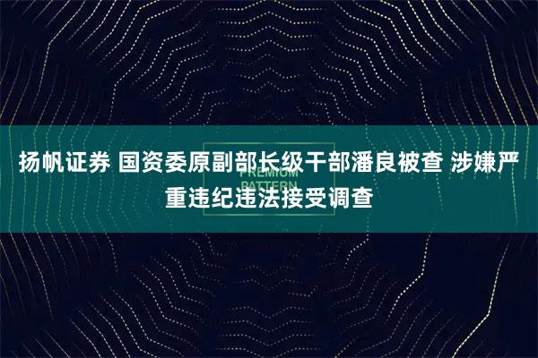 扬帆证券 国资委原副部长级干部潘良被查 涉嫌严重违纪违法接受调查