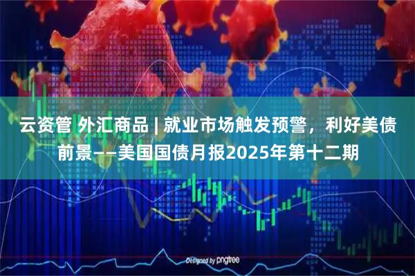 云资管 外汇商品 | 就业市场触发预警，利好美债前景——美国国债月报2025年第十二期