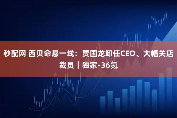 秒配网 西贝命悬一线：贾国龙卸任CEO、大幅关店裁员｜独家-36氪