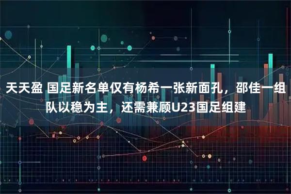 天天盈 国足新名单仅有杨希一张新面孔,邵佳一组队以稳为主,还需兼顾U23国足组建